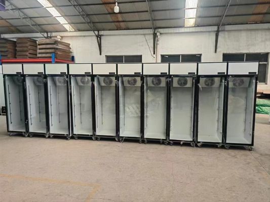 Μία θερμοκρασία κάθετη βιτρίνα με μία πόρτα εμπορική ψύξη ψυγείο ποτών