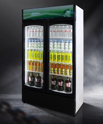 220V-240V/50HZ 60HZ 110V/60HZ Δείκτης ψυγείο 2 πόρτες κατάστημα ποτά ψυγείο ψυγείο