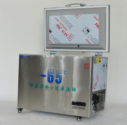 178L-1580L Μεγάλη χωρητικότητα Βαθιά οριζόντια θαλασσινά Ultra χαμηλό στήθος οριζόντια ψυγεία