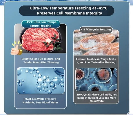 8.5-10cm Σφουγγαρισμένο στρώμα Ultra-Low Chest Freezer για μεγάλη χωρητικότητα -60°C Αποθήκευση θαλασσινών