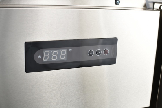110V/60HZ Χάλυβα από ανοξείδωτο χάλυβα με δύο πόρτες